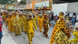 1 de agosto de 2023 apertura de la TIGRADA fiesta tradicional en Chilapa de Álvarez Guerrero