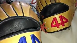 44 pro comparison video