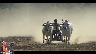 चौथा दिन पहला राउंड All Video 👫 मंडी बरघाट पट Pratiyogita  😎Pratiyogita video  🙆 Barghati Bhaiya Pat