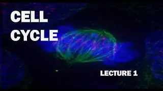 Cell cycle L1 (cell biology) I CUET PG I GATE I B.SC