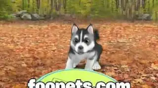 FooPets Commercial-Laurie Burke.mp4