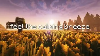 lost memories rest here.... |Minecraft ambiance with Music|