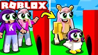 Easy Pet Obby on Roblox!