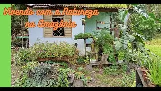 Vivendo com a Natureza na Amazônia 2