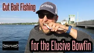 CUT BAIT FISHING FOR BOWFIN