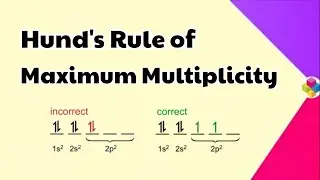 Hund's Rule of Maximum Multiplicity | Structure of Atom | Class 11th & 12th | Science