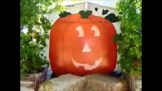 Make the Live Oak Canyon Pumpkin Patch, in Redlands, a Family Tradition!