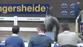 Picobello van’t Roosakker