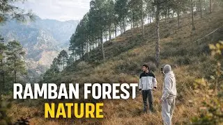  forest nature in ramban  vlog #subscribe #lifeisbutadream #like #trending #vlog #100k 
