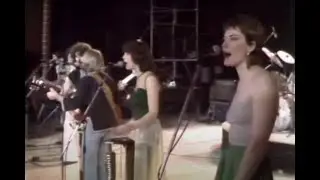 The Ferrets - Bye Bye Baby (Live)