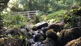 Wales walks inc Brecon Beacons, Red Kite Feeding Station and Elan Valley Reservoirs 