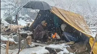 Best Life in A Himalayan Shepherd’s During The Snowfall | Most Relaxing | Village Documentary Video