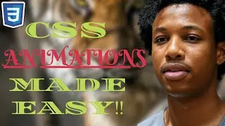 Master CSS Animation & Transition – Beginner-Friendly Tutorial! 🚀