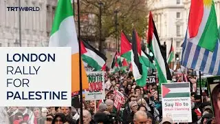 UK protesters mark solidarity day with mass demonstration for Palestine