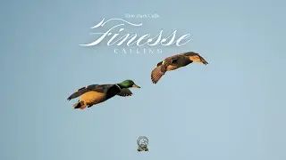 Call-shy Ducks | Finesse Calling