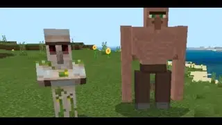 Minecraft SHENANIGANS on the MinePeak SMP...