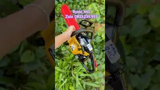 M&aacute;y cưa x&iacute;ch Ryobi440 mini tỉa c&agrave;nh #maycua #maycuago #maycuaxich #maycuanhatbai #cưa #ryobi #cuago