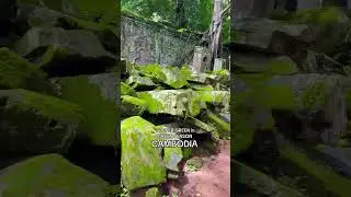 Best tour to Visit Cambodia in green season, Taprohm Temple #cambodia #siemreap #taprohm #lvtravel