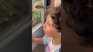 Alex ci guida nel mondo degli insetti! 🦗🔍