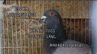 NAGSAMA TAYO NG 2 IBON SA CALAUAG Q.