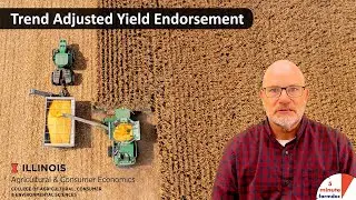 Trend Adjusted Yield Endorsement