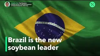 Brazil is now the world&rsquo;s top soybean producer