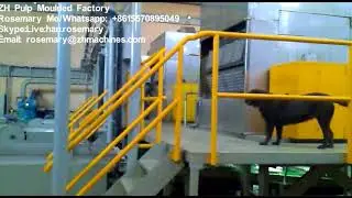Full automatic Rotary Forming Paper Pulp Molding Machine Egg tray Machine Three Line