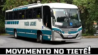 TEVE PÁSSARO MARRON COM MOTOR DIANTEIRO!! ÔNIBUS DE TODO O BRASIL NA RODOVIÁRIA DO TIETÊ