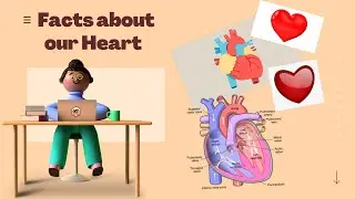 Facts about our Heart| Some information| From chapter Transportation in Plants and Animals| Class 7.