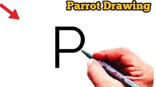 How to draw parrot from letter P | Easy Parrot Drawing | Letter Drawing