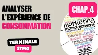Terminale STMG - MERCATIQUE - Chapitre 4 - Analyser l&rsquo;exp&eacute;rience de consommation