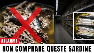 8 sardine in scatola che dovresti ASSOLUTAMENTE evitare