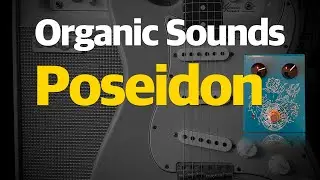 Organic Sounds Poseidon | Pedal Demo | No Talking