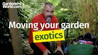 Moving Your Garden - 7 - Moving exotics