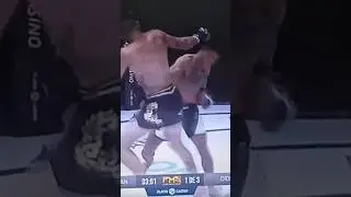 Rafael Miniman vs Diogo Pink #mma #fms