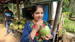 KONKAN TRIP 2021 Ep.2 - REVDANDA Fort, SUPARI processing, CHAUL village, BEACH, TEMPLES- NanchiVlogs