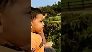 | Agastya | Zoo | Jungle Safari | Statue of Unity | SOU | Zebra | Giraffe |