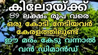 Huge demand for this crop | Manojnediyackal rubber tapping