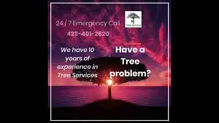 Tree Service Hixson, LLC (423) 401-2820
