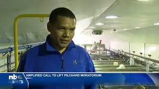Amplified call to lift pilchard moratorium - nbc