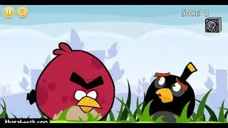 Angry birds speaking Arabic.