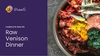 Raw Venison Meal for Adult Dogs | Complete Olli Recipe