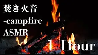 【ASMR】1時間 焚き火の音&ndash; 1 Hour Crackling Fire for Sleep & Relaxation