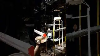 Exposici&oacute;n Lengua en coro, cuenta de Cristina Mej&iacute;as Matadero Madrid, 2025 por Deya La Exploradora
