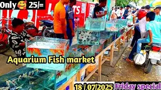 Aquarium Price In Bangladesh🔥 Aquarium Fish Price in bd 2024😱 Bangladesh Fish Market Price #fish 