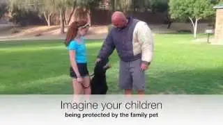 protection dogs for sale