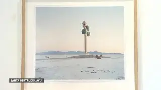 S'inaugura l'exposici&oacute; 