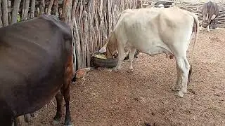 ESSE É PARA QUEM VALORIZA O SILÊNCIO 