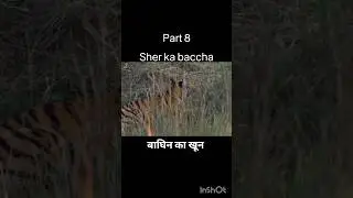 बाघिन का खून  (Part 8), #wildlife #nature  #tigress  #discovery #wildworld  #discovery #jungle