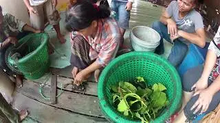 Crab shibari: How to pack a crab in Thai style